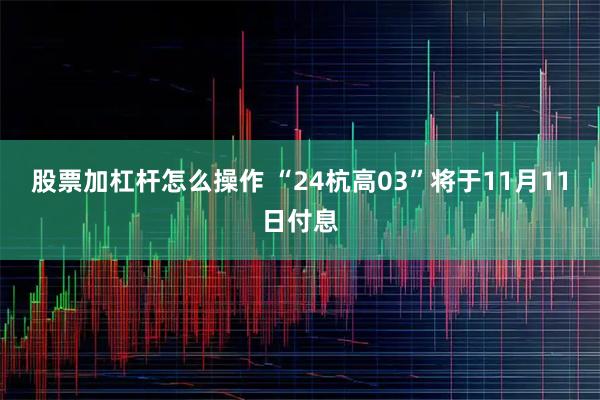 股票加杠杆怎么操作 “24杭高03”将于11月11日付息