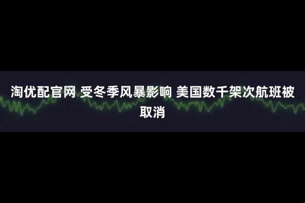 淘优配官网 受冬季风暴影响 美国数千架次航班被取消